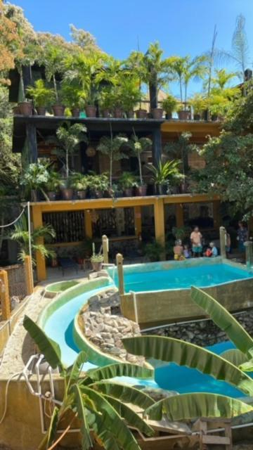 Hostal Casa Del Angel Mazunte Zewnętrze zdjęcie